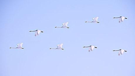 发布9年后 PC版《GTA5》终于添加反作弊功能